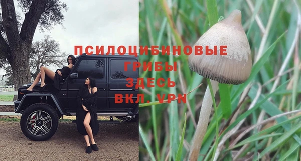молекула духа Абинск
