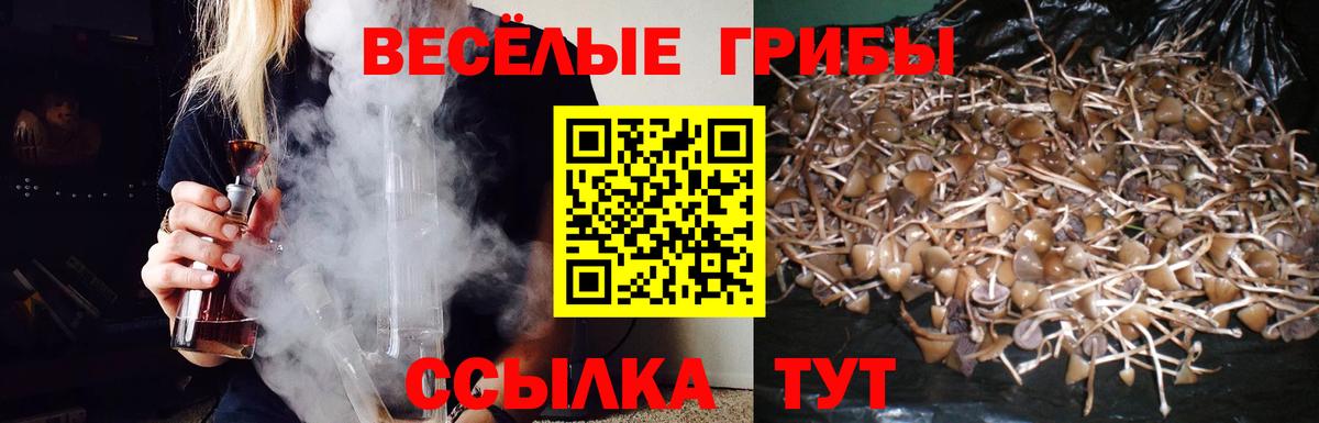 Псилоцибиновые грибы Psilocybine cubensis  Псилоцибиновые грибы Magic Shrooms  Симферополь  Вход с VPN 