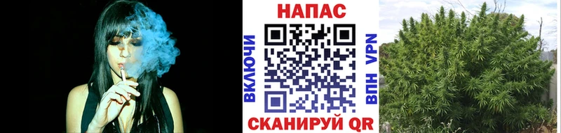 Шишки марихуана MAZAR  Симферополь 